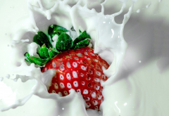 strawberry, milk, food, splash wallpaper