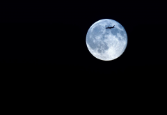 moon, airplane, night, long exposure, blue moon wallpaper