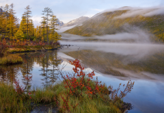 lake, fog, forest, autumn, nature, reflection wallpaper