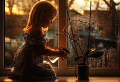 girl, window, flower, light, lily, child wallpaper