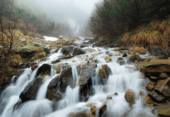 carpathian mountains, forest, rocks, waterfall, stream, river, nature wallpaper