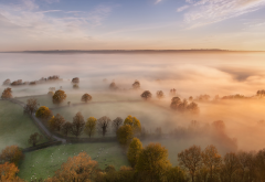 fog, morning, nature, trees, fields wallpaper