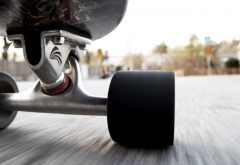 skateboard, skate, sport, speed, roller wallpaper