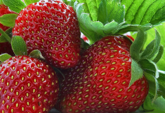 strawberry, food, berry wallpaper