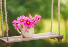 swing, mug, flowers, kosmeya, nature wallpaper