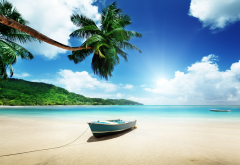 tropics, beach, boat, palm tree, sun, summerm sea, nature wallpaper