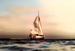 ocean, sailing, sport, california, sailboat, pacific, sea wallpaper