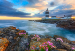 hook lighthouse, sunset, ireland, nature, landscape, sea, shore, stones, flowers, lighthouse wallpaper