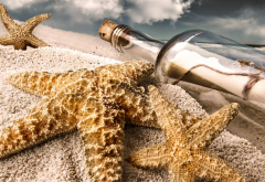 sand, beach, bottle, starfish, message in a bottle wallpaper