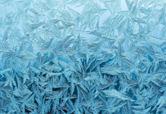 frost, pattern, glass, window, winter wallpaper