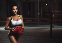 girl, model, women, boxer, boxing gloves, tanned, brunette wallpaper