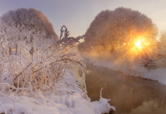nature, snow, winter, river, sun, frost wallpaper