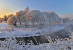 nature, winter, snow, trees, frost, sun, stream, steam wallpaper