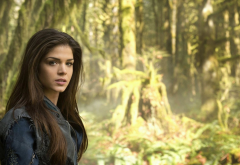 women, brunette, long hair, women outdoors, nature, trees, forest, Marie Avgeropoulos, actress wallpaper