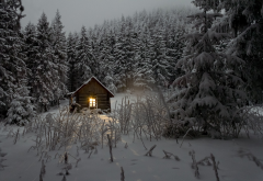 house, forest, snow, winter, nature wallpaper
