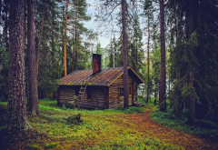forest, hut, finland, tree wallpaper