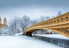 new york, city, winter, park, central park, bridge, snow wallpaper