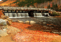 river, bridge, autumn, stream, nature wallpaper