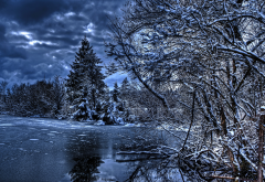 nature, winter, river, trees, fir trees, sky, clouds, forest wallpaper