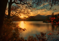 lake, sunset, nature, tree, autumn wallpaper