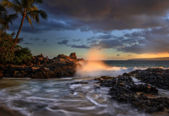 palm trees, pacific ocean, hawaii, coast, maui, sunset, makena cove, ocean, nature wallpaper