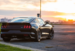 ford mustang, ford, cars, sunset, 2015 ford mustang gt wallpaper