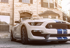 ford mustang gt350, cars, ford mustang, ford, sportcar wallpaper