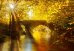 nature, autumn, park, canal, bridge, trees, sun rays wallpaper