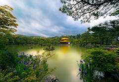 kyoto, japan, golden pavilion, pond, park, nature wallpaper