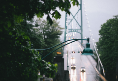 bridge, rain, leaves, city wallpaper