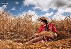 women, legs, wheat, field, brunette wallpaper