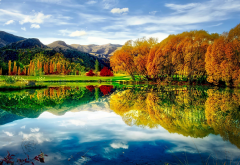 autumn, nature, pond, nature, reflection, lake, new zealand wallpaper