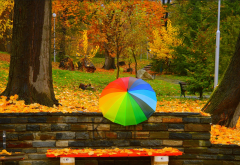 autumn, trees, umbrella, park, fall, foliage, bench, trees wallpaper