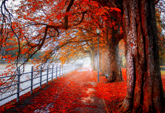 nature, autumn, park, trees, alley, path, river, fence wallpaper