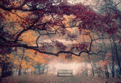 nature, landscape, autumn, park, trees, branches, lake, river, bench wallpaper