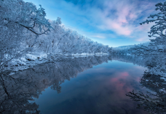 winter, river, nature, snow, frost wallpaper