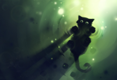 Black Cat, water, shadow, lights, green, cute animals wallpaper