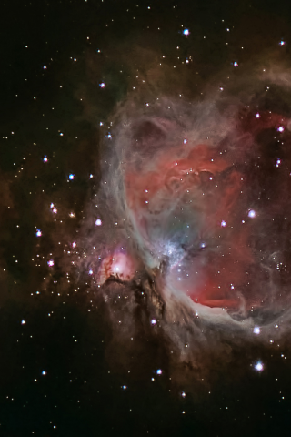 Download 320x480 Orion Nebula M42 Ngc 1976 Nebula Messier 42 Images, Photos, Reviews