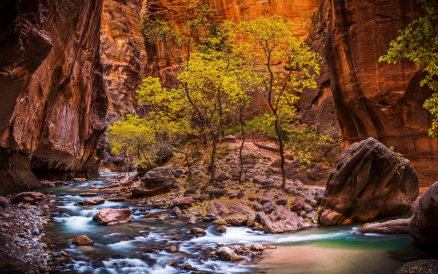 2600x1625 pix. Wallpaper landscape, nature, Zion National Park, river, canyon, Utah, trees, erosion, red