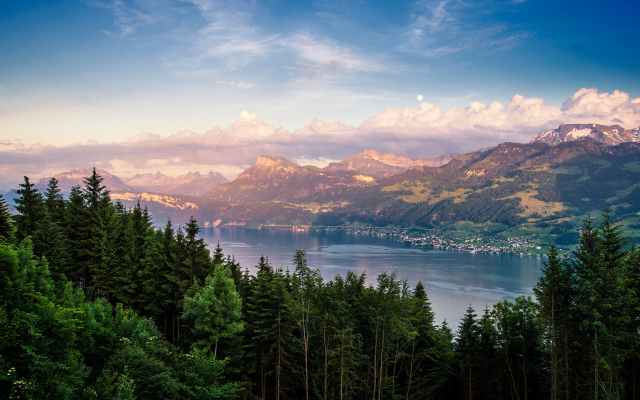 2560x1440 pix. Wallpaper lake, forest, zurich, switzerland, nature