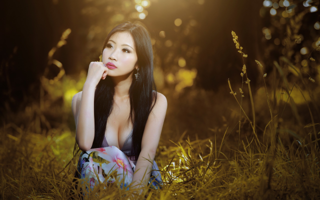 2560x1600 pix. Wallpaper Asian, women, model, cleavage, brunette, grass