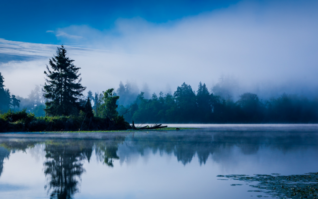 2800x1575 pix. Wallpaper lake, morning, mist, blue, forest, water, reflection, Washington state, nature, sunrise, landscape