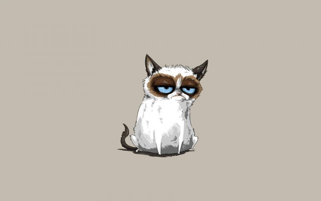 1920x1080 pix. Wallpaper cat, Grumpy Cat, minimalism, graphics
