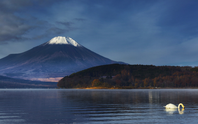 2500x1563 pix. Wallpaper Mount, Fuji, Japan, nature, landscape, mountains, volcano, snowy peak, lake, swans, trees, birds
