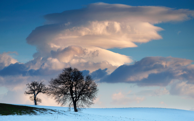 2048x1367 pix. Wallpaper snow, winter, field, landscape, tree, clouds, nature