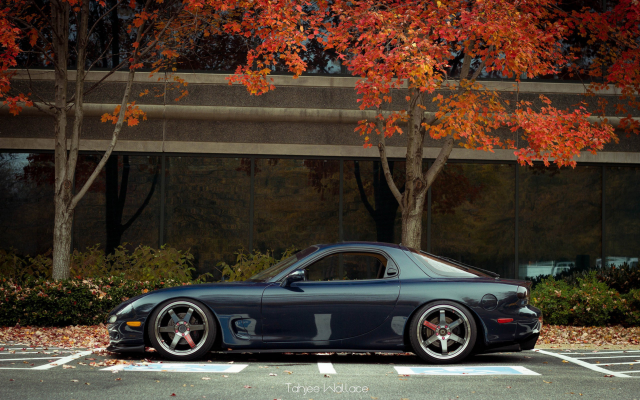 2560x1600 pix. Wallpaper car, fall, Mazda RX-7, Mazda, autumn, leaf, tree