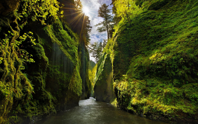 2200x1375 pix. Wallpaper canyon, Oregon, usa, sun rays, moss, river, shrubs, nature, landscape