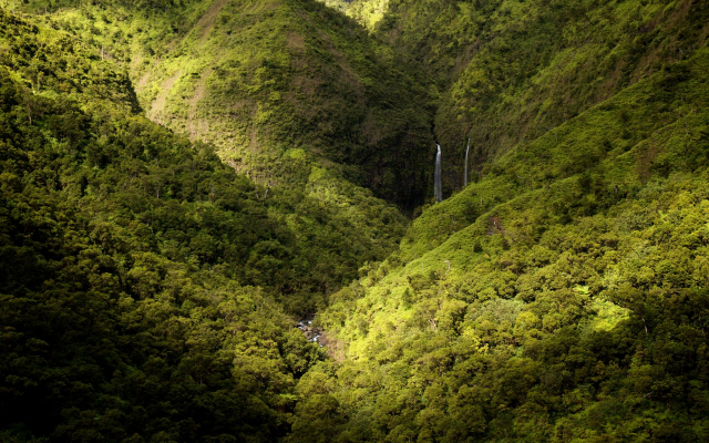 1920x1200 pix. Wallpaper Kauai, Hawaii, waterfall, landscape, nature, mountains, forest, spring