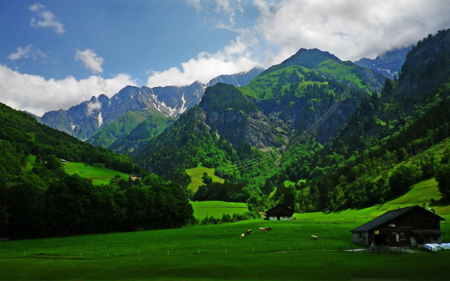 1920x1080 pix. Wallpaper alps, mountains, cabin, grass, cows, forest, nature, landscape