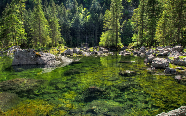 3800x2420 pix. Wallpaper lake, forest, pine, nature, landscape, water, tree, rock
